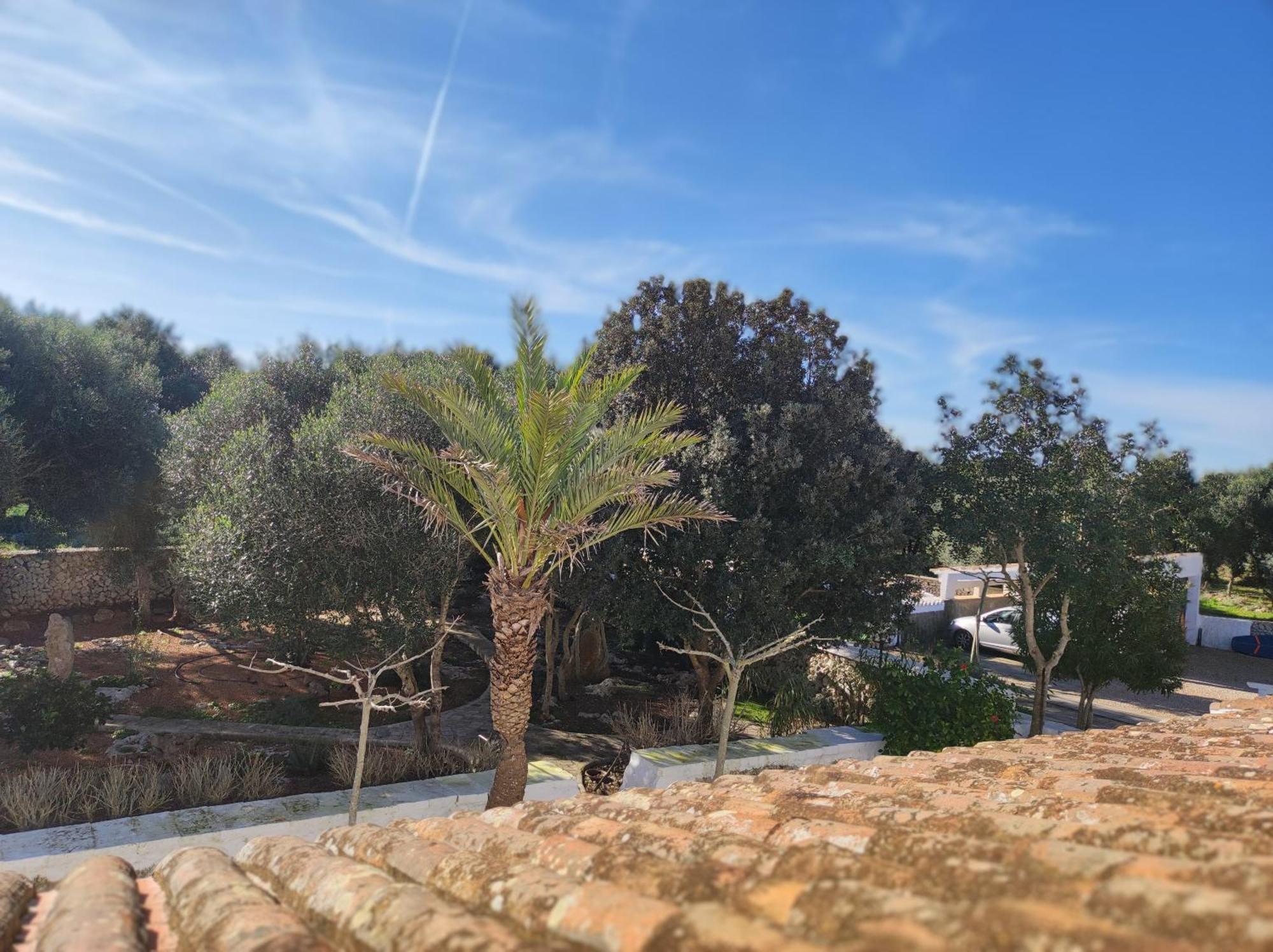 Biniati Des Pi Country house